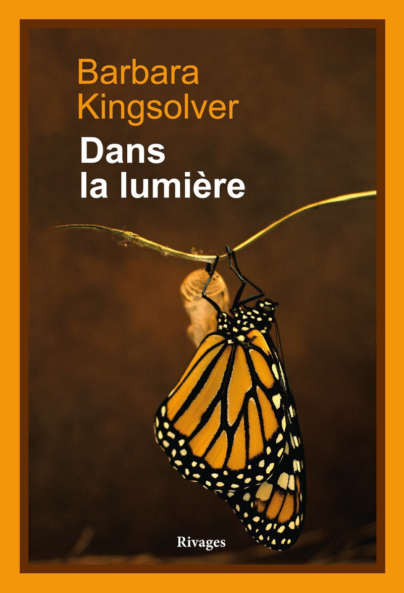 Dans la lumière